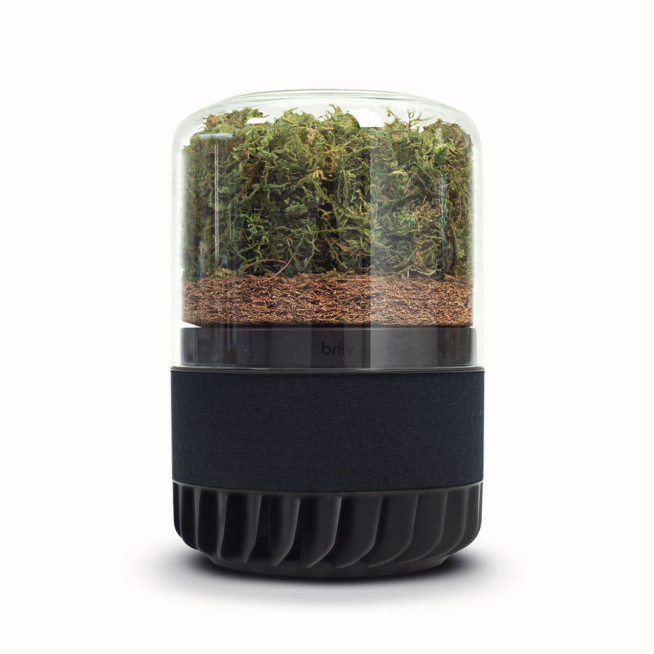 Briiv NatĂŒrlicher Luftreiniger