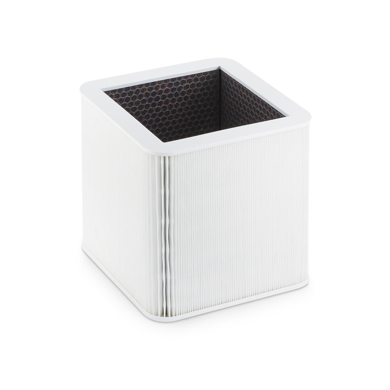 Blueair Blue Pure 221 Kombinationsfilter HEPA/Carbon