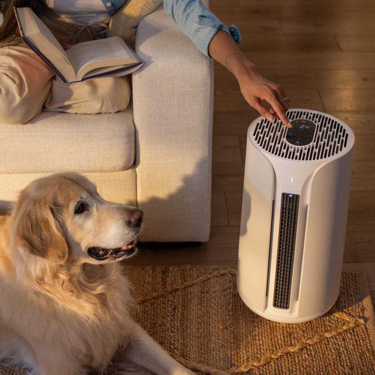 Blueair ComfortPure T10i 3in1 Luftreiniger