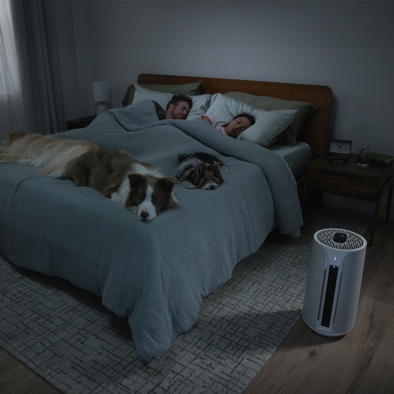 Blueair ComfortPure T10i 3in1 Luftreiniger