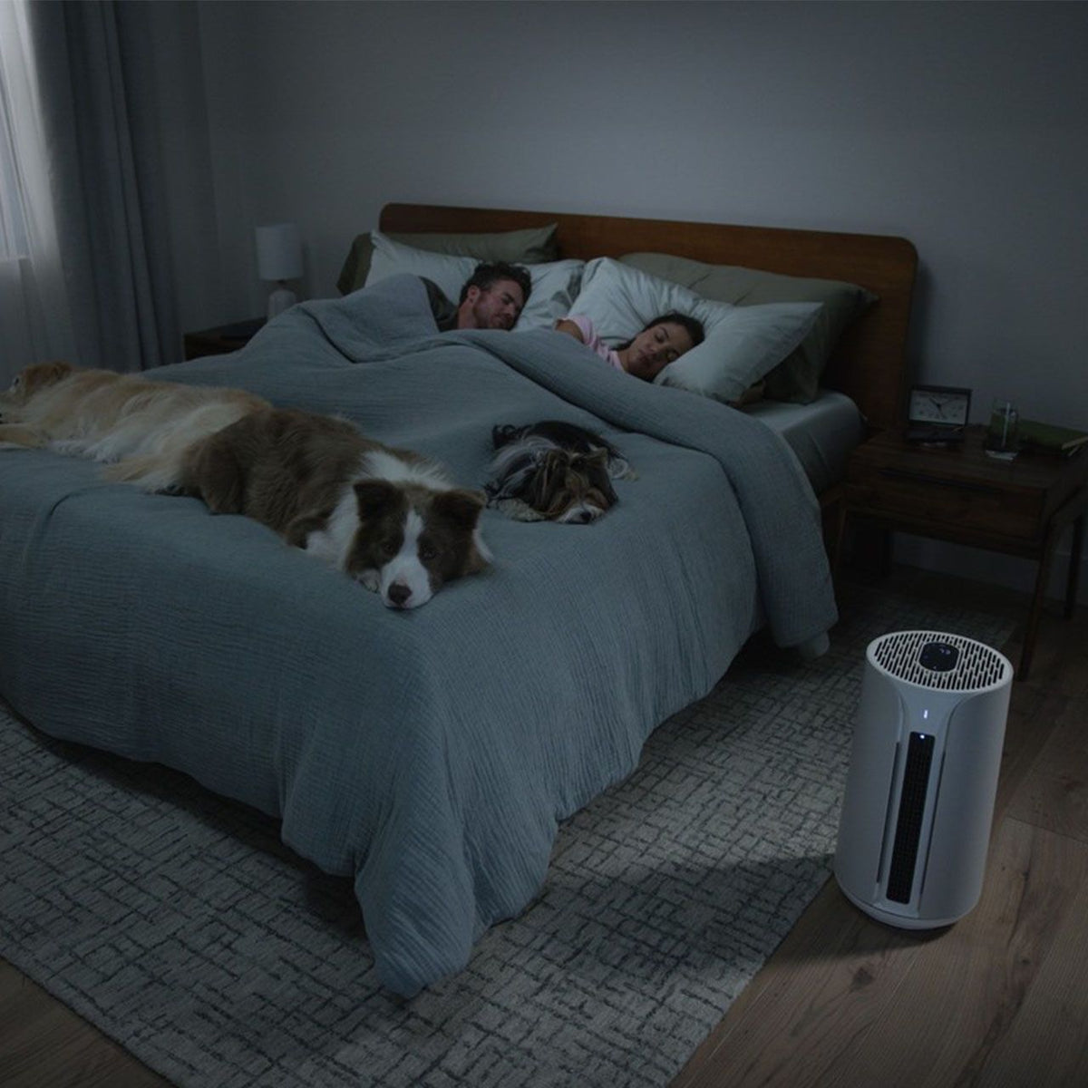 Blueair ComfortPure T10i 3in1 Luftreiniger