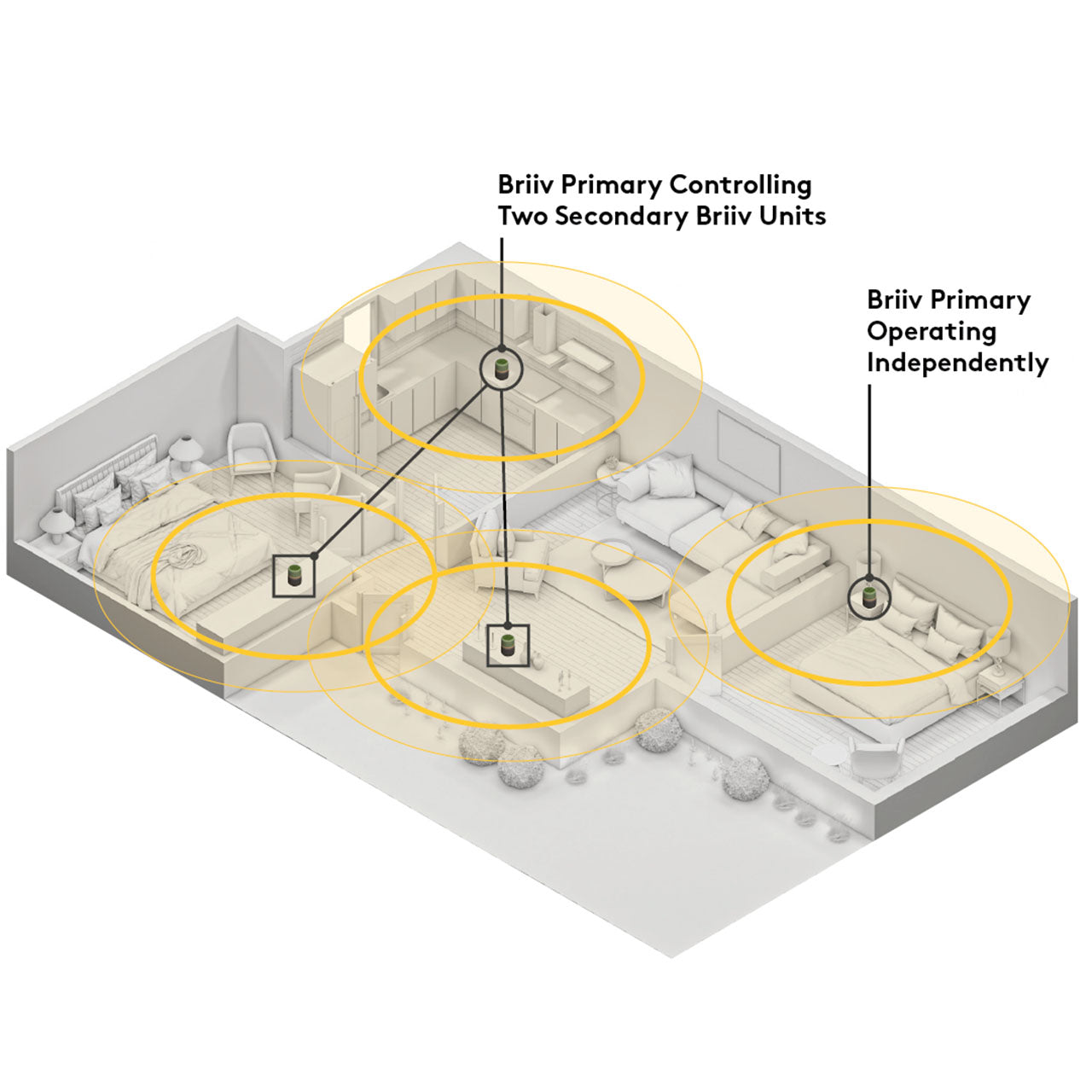 Briiv Natürlicher Luftreiniger