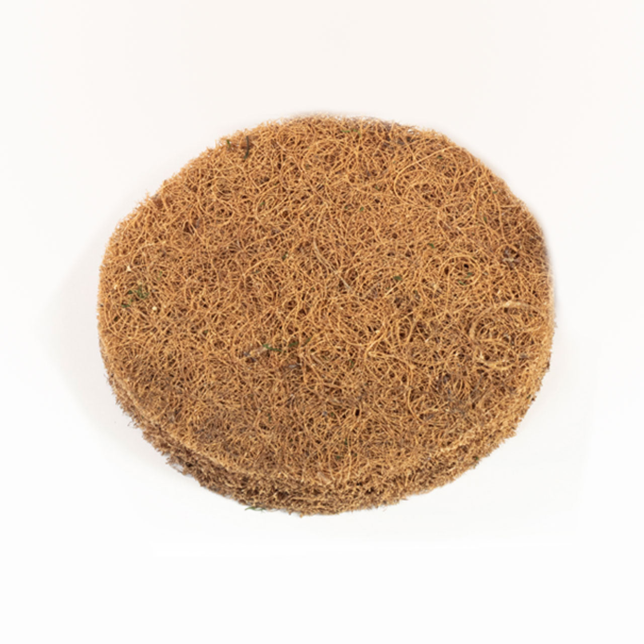 Briiv Ersatz-Filter (für 1 Jahr)